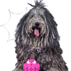 Игрушка Mr.Kranch для собак Сова 13 см розовая с ароматом бекона MKR000224 фото 13